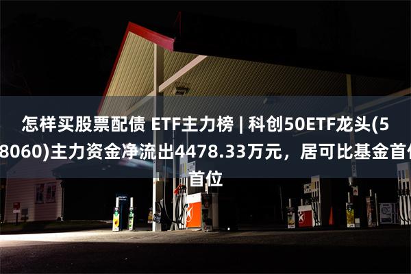 怎样买股票配债 ETF主力榜 | 科创50ETF龙头(588060)主力资金净流出4478.33万元，居可比基金首位