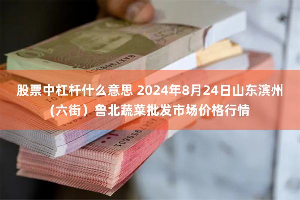 股票中杠杆什么意思 2024年8月24日山东滨州(六街）鲁北蔬菜批发市场价格行情